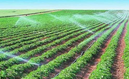 午夜日逼农田高 效节水灌溉